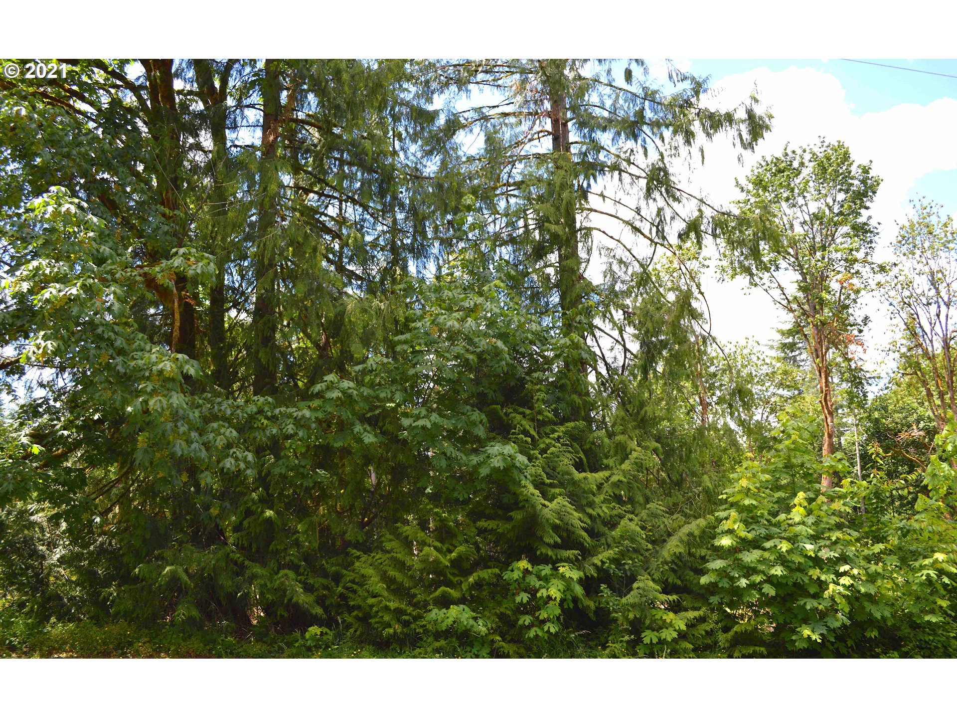 35008 Southeast Gunderson Road Sandy, OR 97055 - Photo 9 of 29