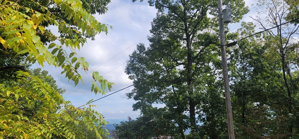 102 Shell Mountain Road Sevierville, TN 37876 - Photo 2 of 8