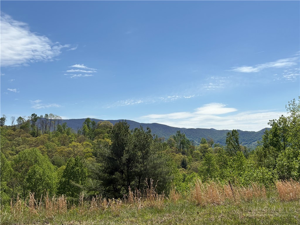 Lot #41 Lost Ridge Trail Vilas, NC 28692 - Photo 3 of 8