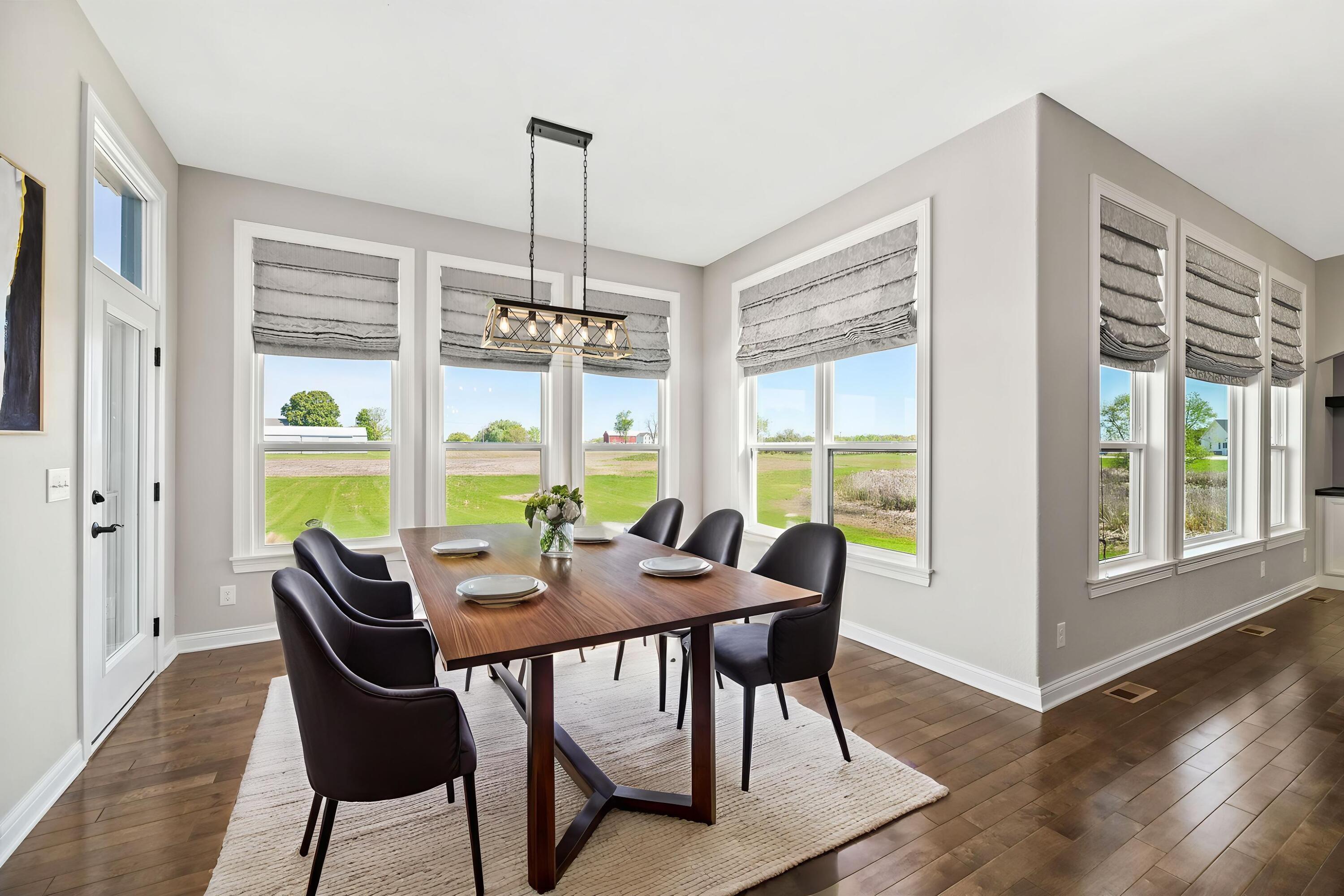 28516 Blue Crane Court Rochester, WI 53185 - Photo 16 of 60 DSC_1690 - Dining Room - Modern - 1