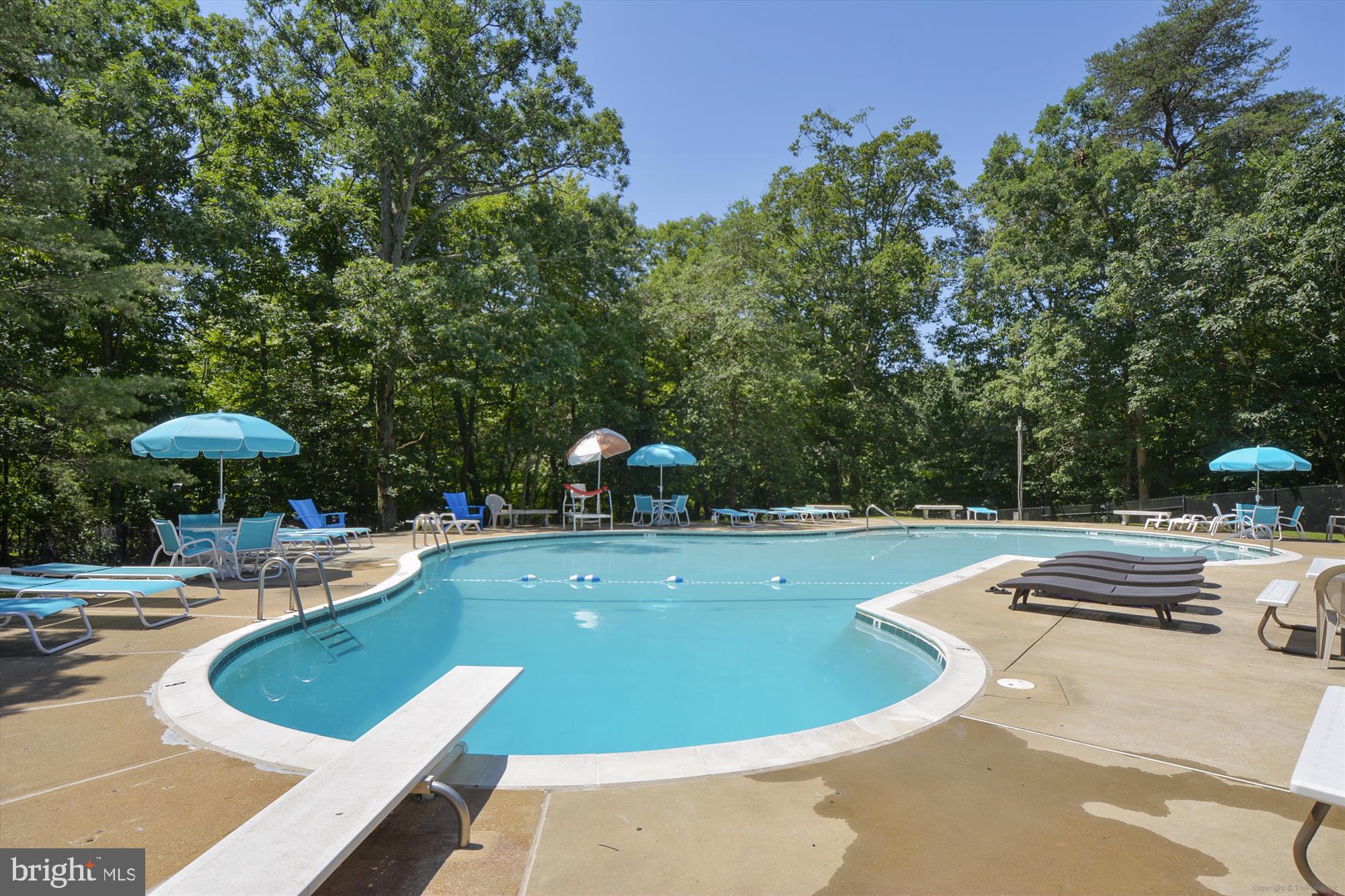 2705 Cassia Drive Edgewater, MD 21037 - Photo 52 of 57 Gingerville Pool