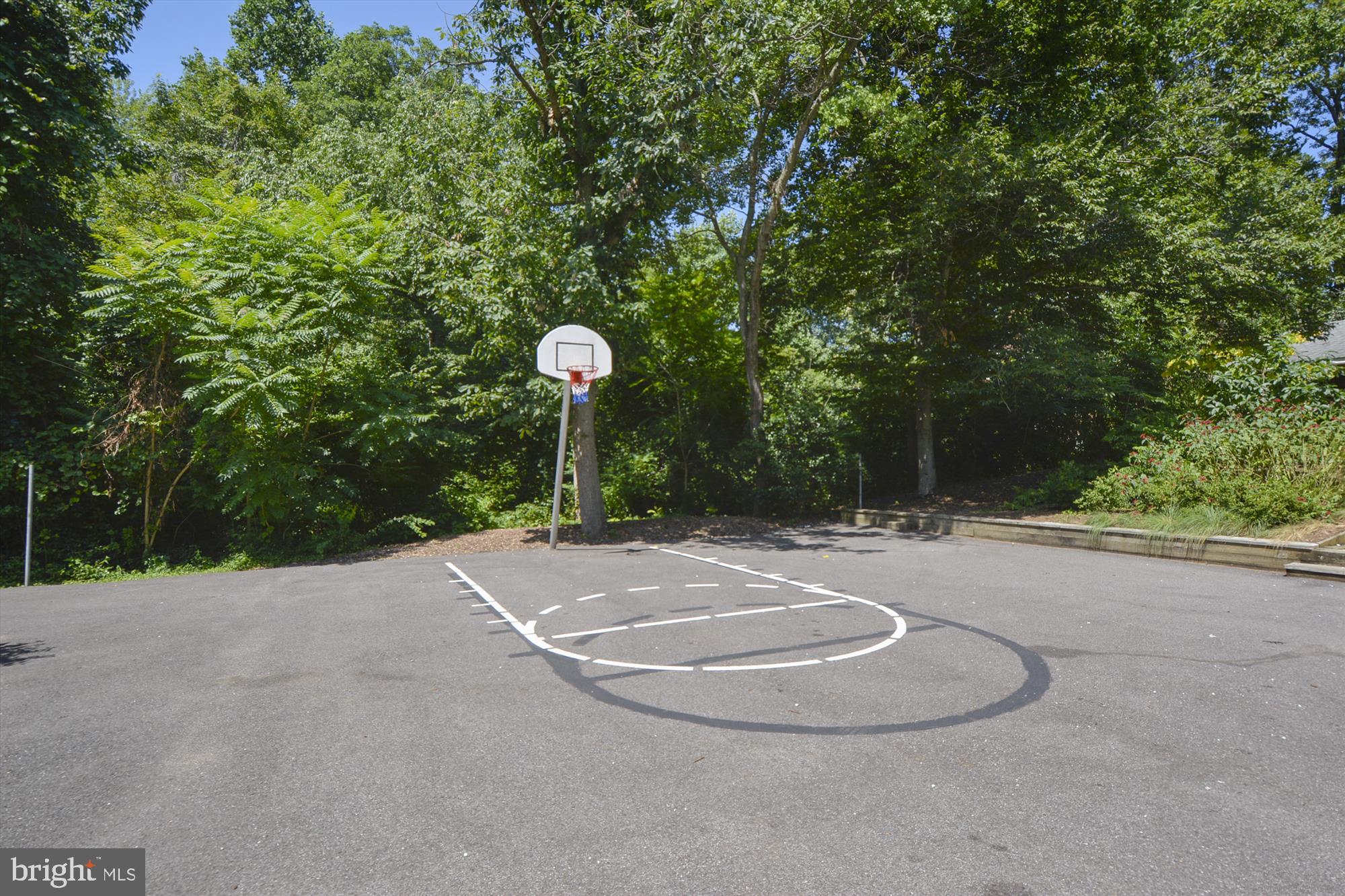 2705 Cassia Drive Edgewater, MD 21037 - Photo 57 of 57 Gingerville Basketball