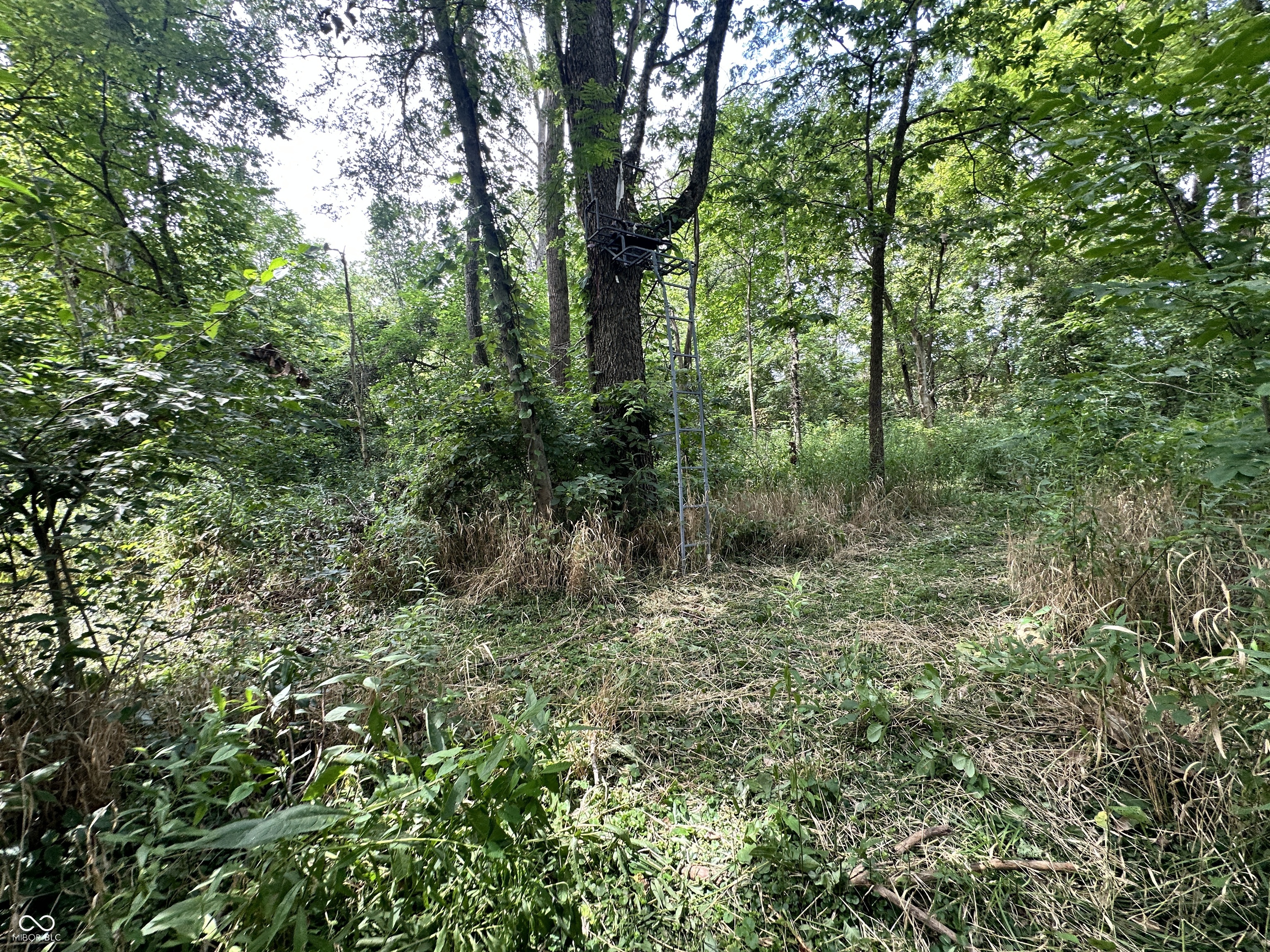 11288 North Goose Road Knightstown, IN 46148 - Photo 20 of 24 Gallery Image 20