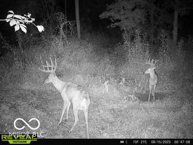 11288 North Goose Road Knightstown, IN 46148 - Photo 22 of 24 Gallery Image 22