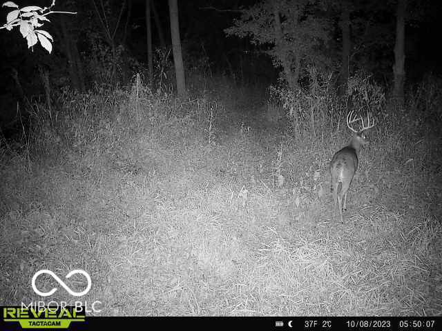 11288 North Goose Road Knightstown, IN 46148 - Photo 23 of 24 Gallery Image 23