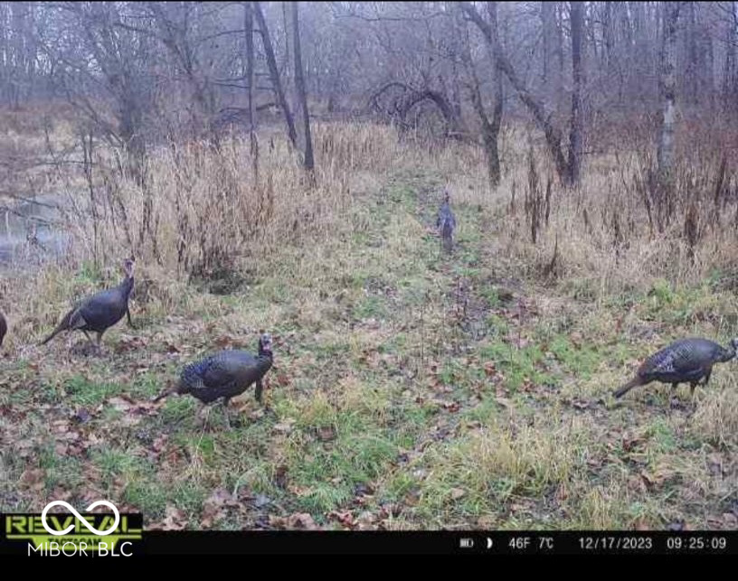 11288 North Goose Road Knightstown, IN 46148 - Photo 24 of 24 Gallery Image 24