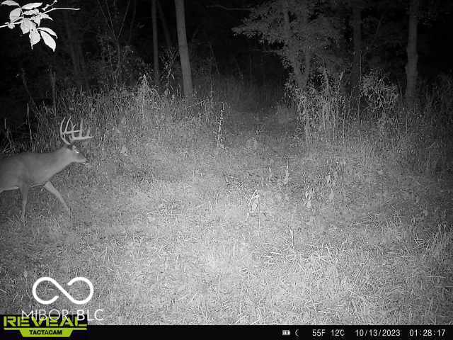 11288 North Goose Road Knightstown, IN 46148 - Photo 4 of 24 Gallery Image 4