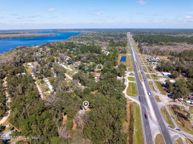 a close up of a tree