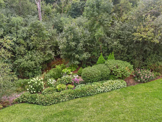 a front view of a house with a yard and trees