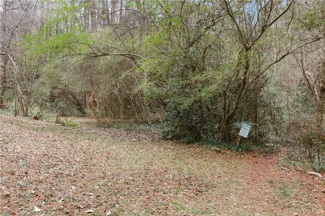 a view of a yard with plants and a bench