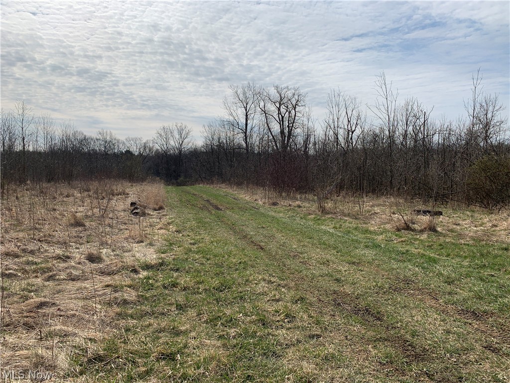 Crawford Road Homerville, OH 44235 - Photo 1 of 35 Gallery Image 1