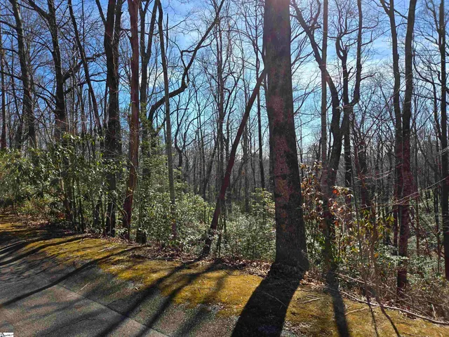 $29,500 | 112 Birchbend, Cleveland, SC 29635