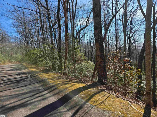 $29,500 | 112 Birchbend, Cleveland, SC 29635