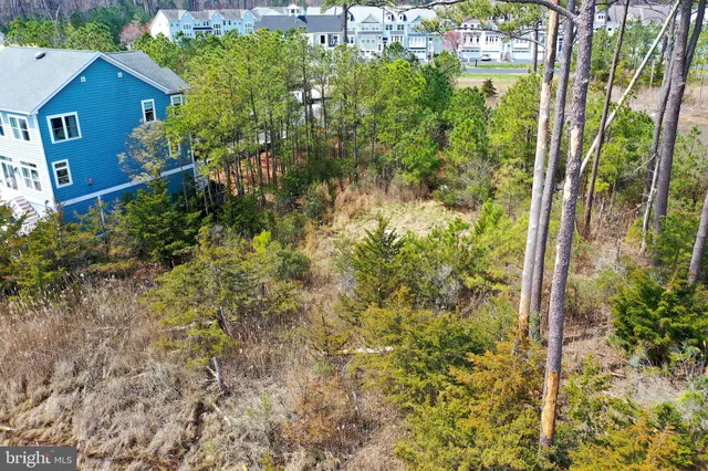 a view of a yard with a house in the background