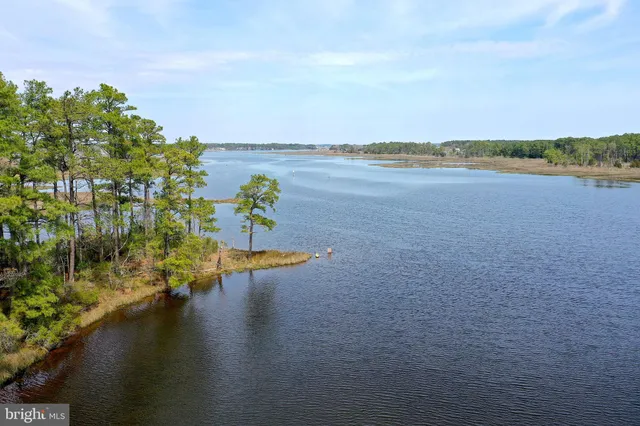 a view of an ocean and beach