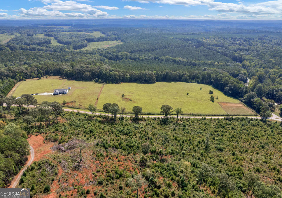 1141 Windsweep Farm Road Thomaston, GA 30286 - Photo 46 of 60