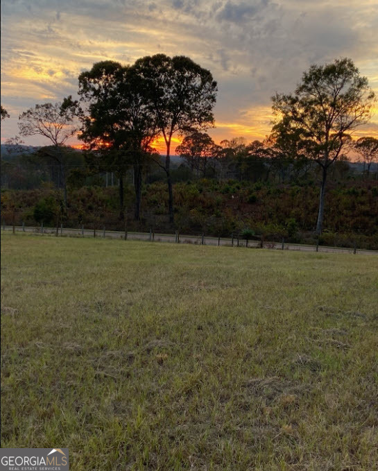 1141 Windsweep Farm Road Thomaston, GA 30286 - Photo 52 of 60