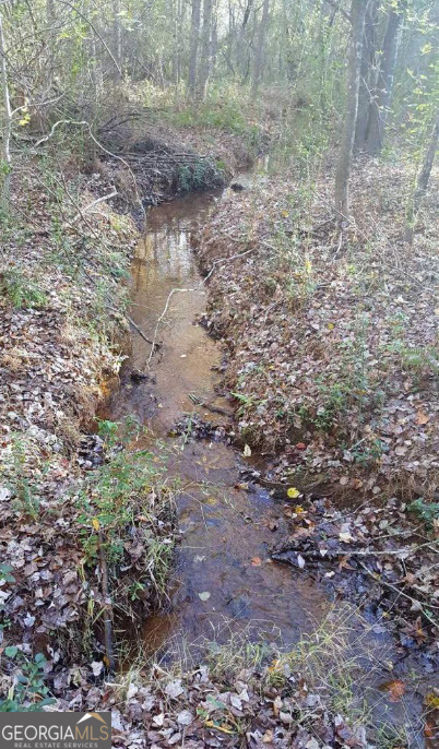 1141 Windsweep Farm Road Thomaston, GA 30286 - Photo 53 of 60