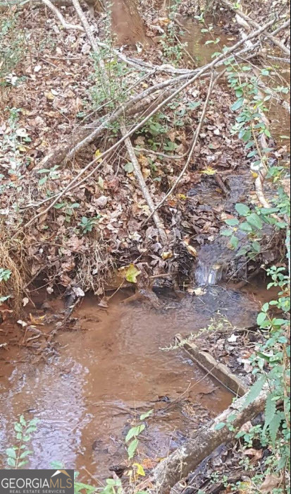 1141 Windsweep Farm Road Thomaston, GA 30286 - Photo 54 of 60