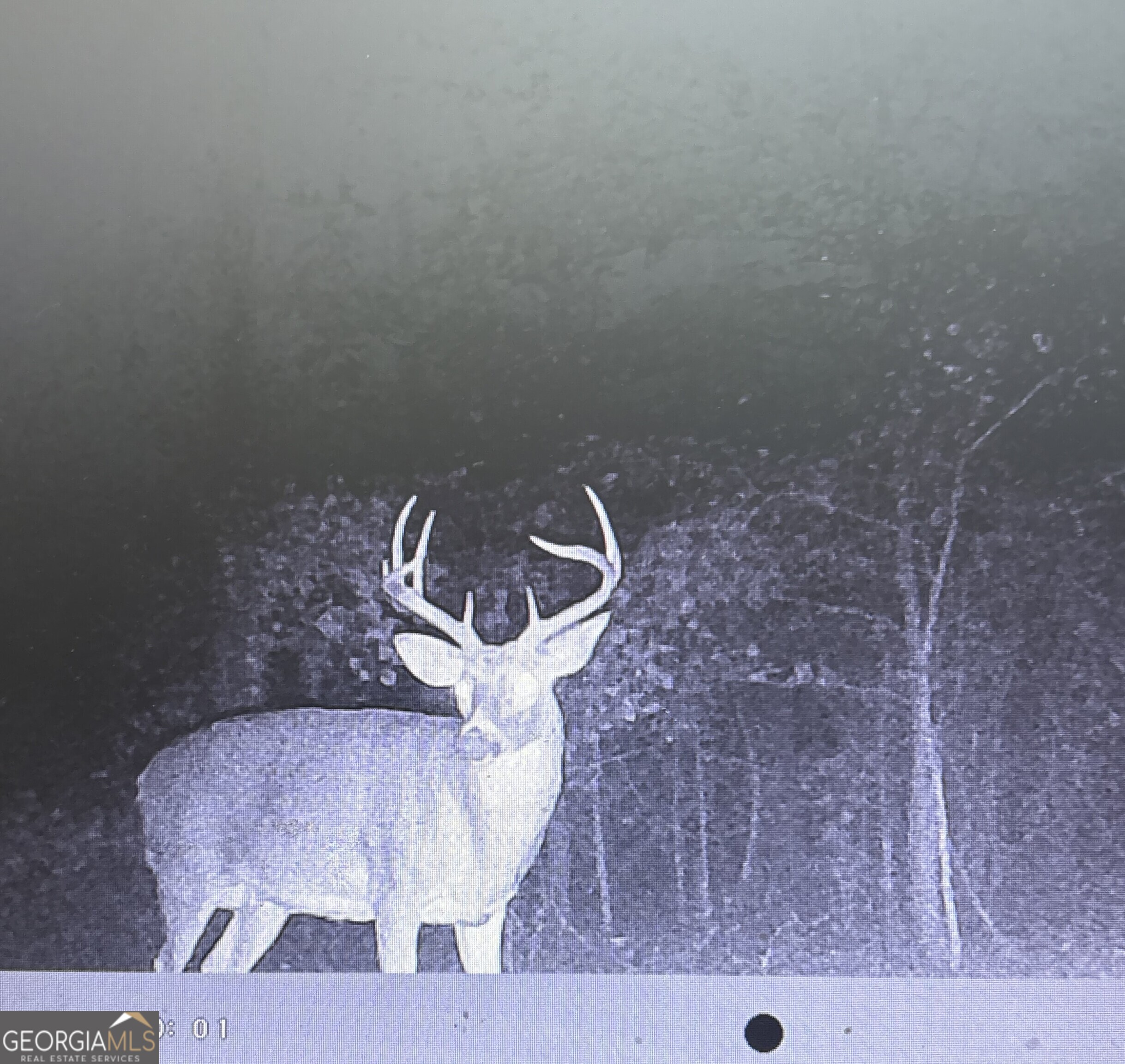 1141 Windsweep Farm Road Thomaston, GA 30286 - Photo 55 of 60