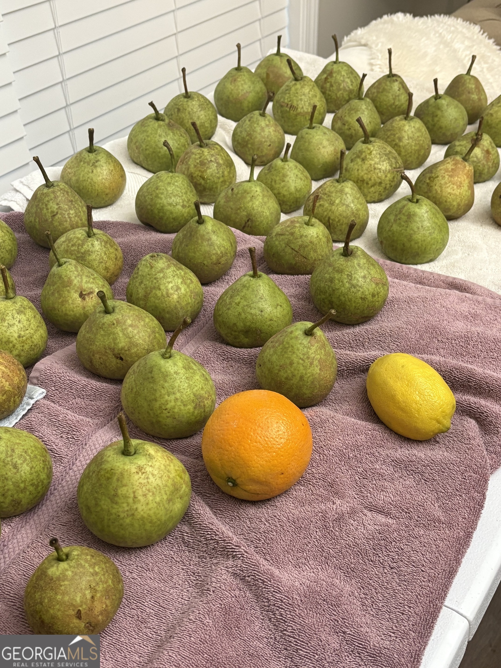 1141 Windsweep Farm Road Thomaston, GA 30286 - Photo 59 of 60