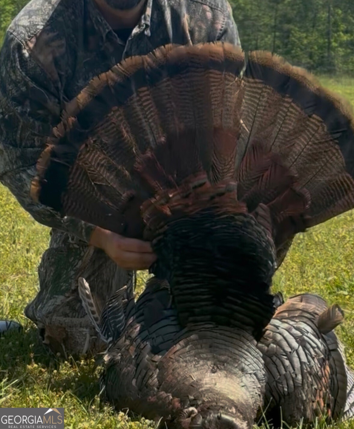 1141 Windsweep Farm Road Thomaston, GA 30286 - Photo 60 of 60