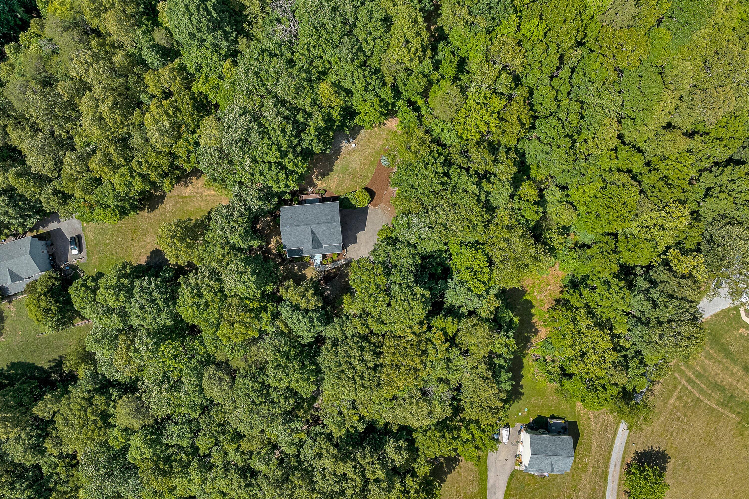1067 Archway Road Blue Ridge, VA 24064 - Photo 36 of 44 38-VM-0827