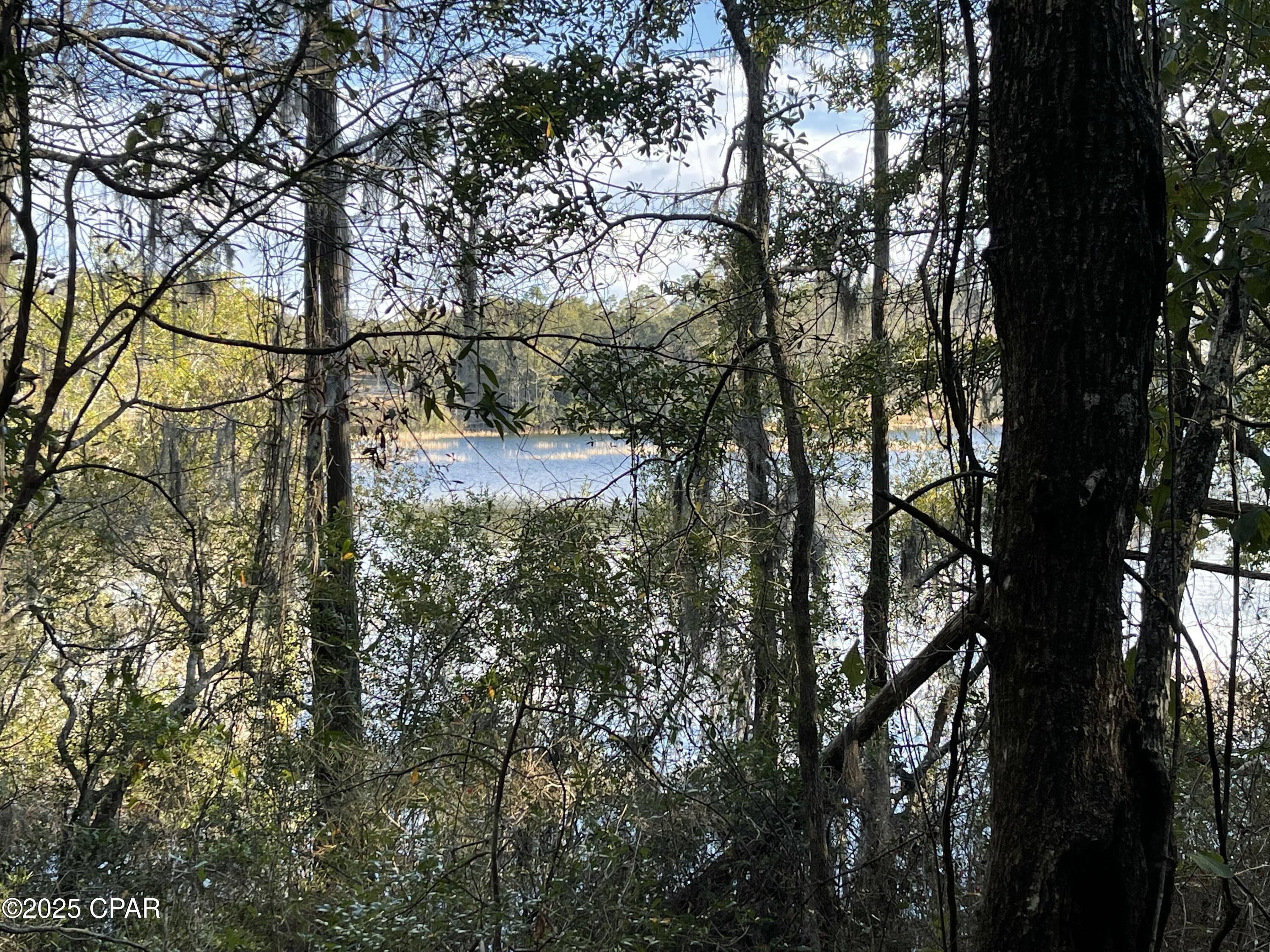 0 Bent Oaks Road Chipley, FL 32428 - Photo 21 of 21