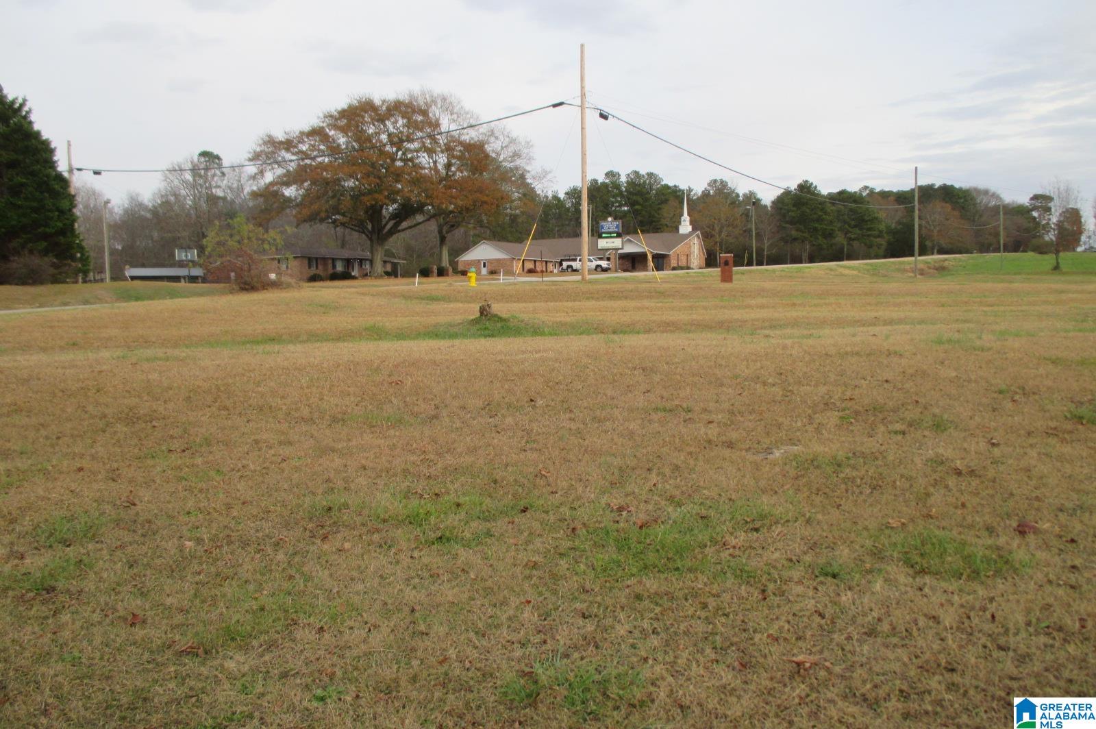 2364 Reneau Road Oneonta, AL 35121 - Photo 22 of 24