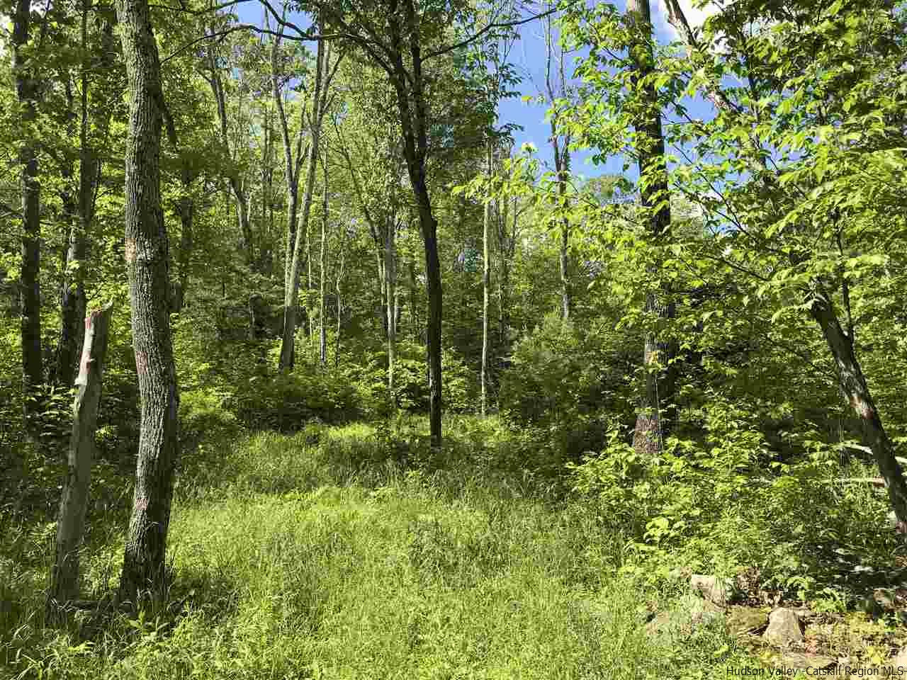 Old Road Windham, NY 12496 - Photo 1 of 15 Photo 1