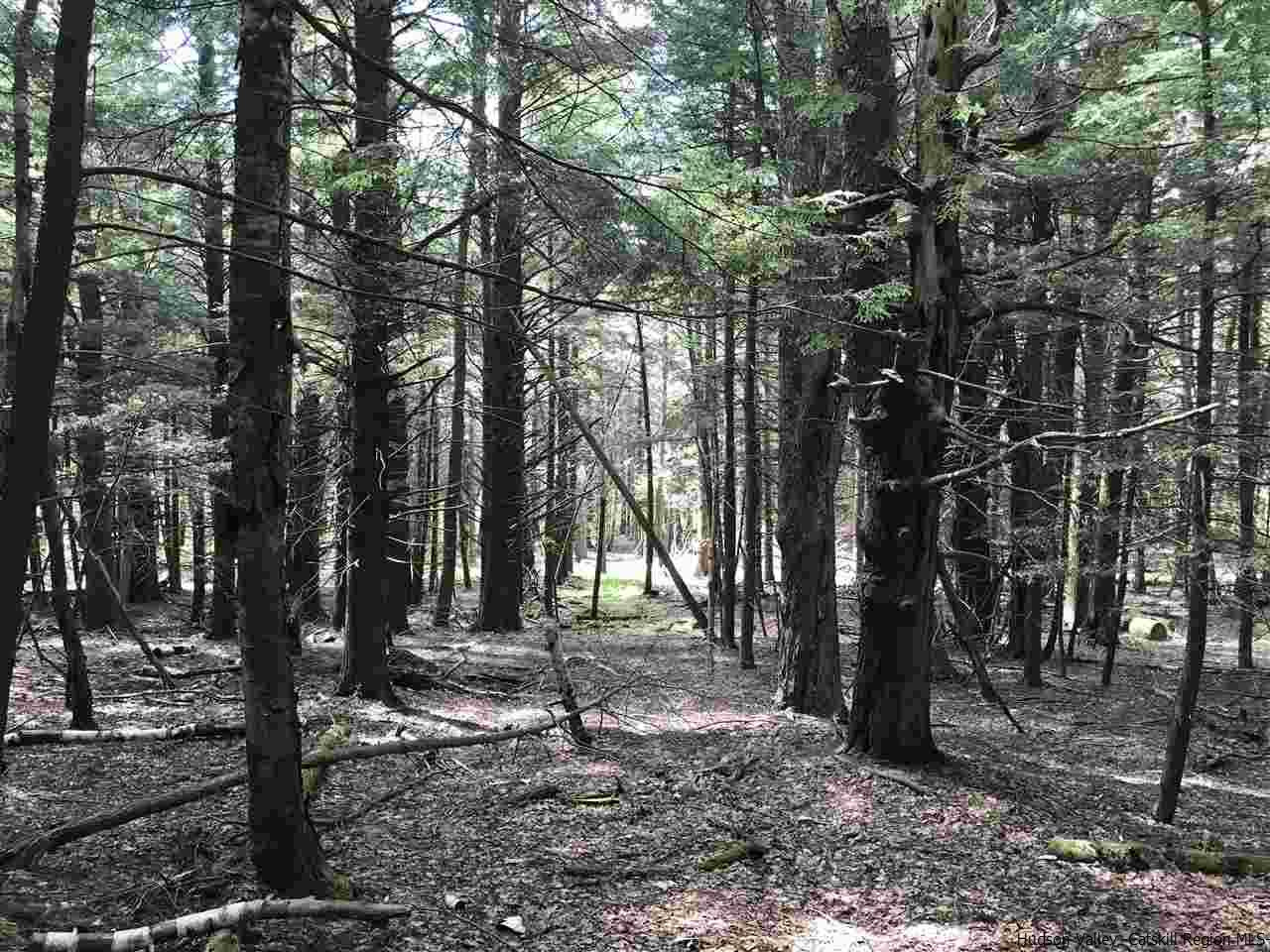 Old Road Windham, NY 12496 - Photo 3 of 15 Photo 3