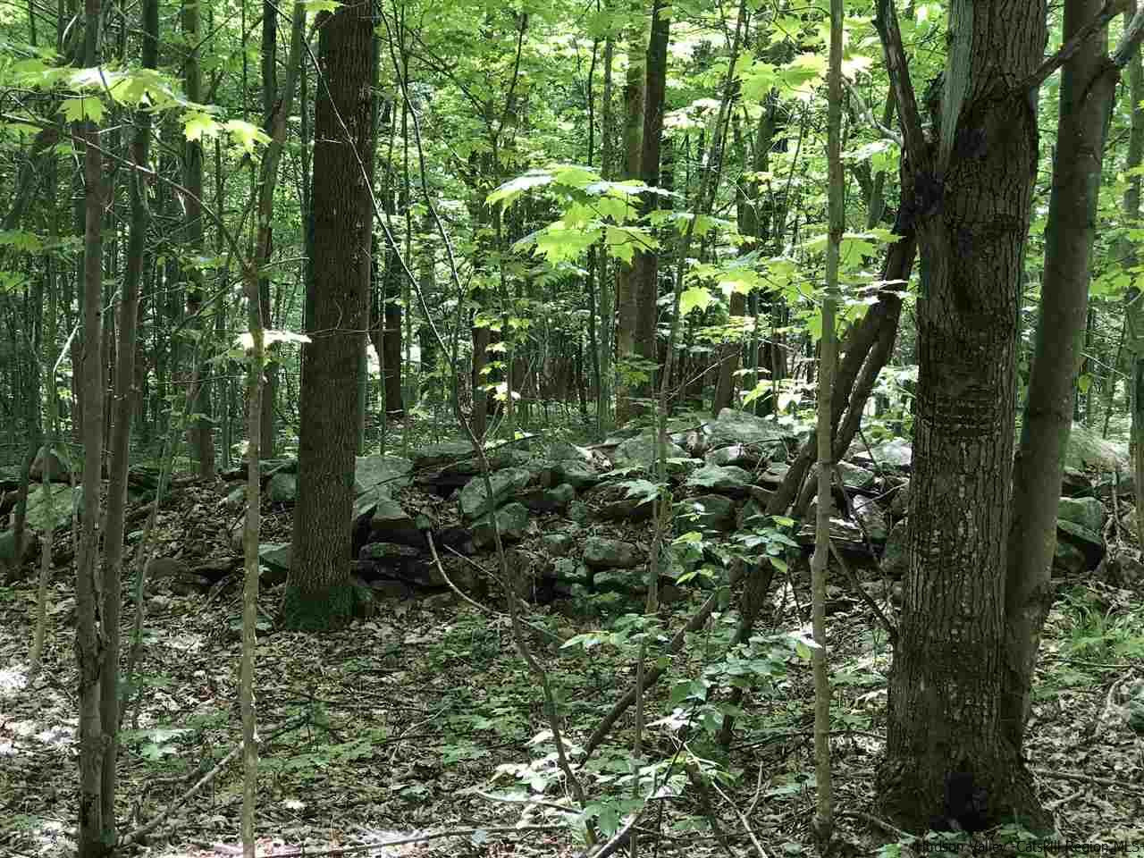 Old Road Windham, NY 12496 - Photo 5 of 15 Photo 5