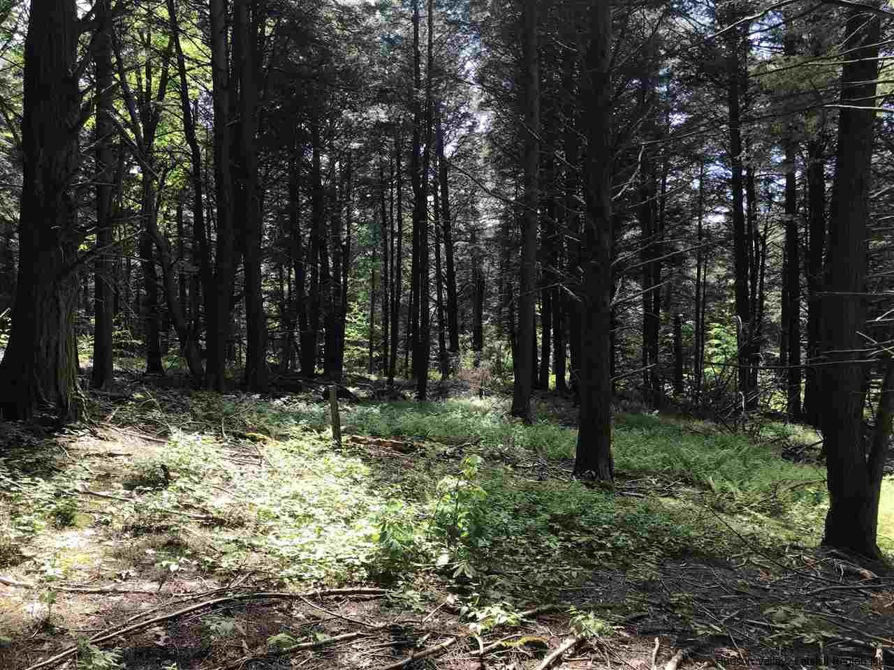 Old Road Windham, NY 12496 - Photo 8 of 15 Photo 10