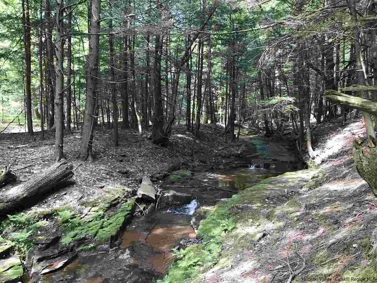 Old Road Windham, NY 12496 - Photo 9 of 15 Photo 11