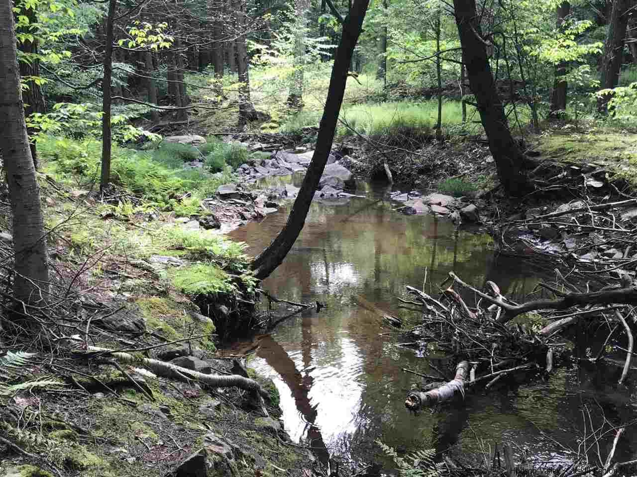 Old Road Windham, NY 12496 - Photo 10 of 15 Photo 13