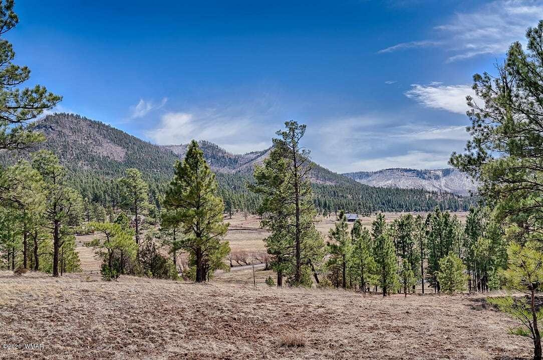 2269 Co Road Nutrioso, AZ 85932 - Photo 11 of 13
