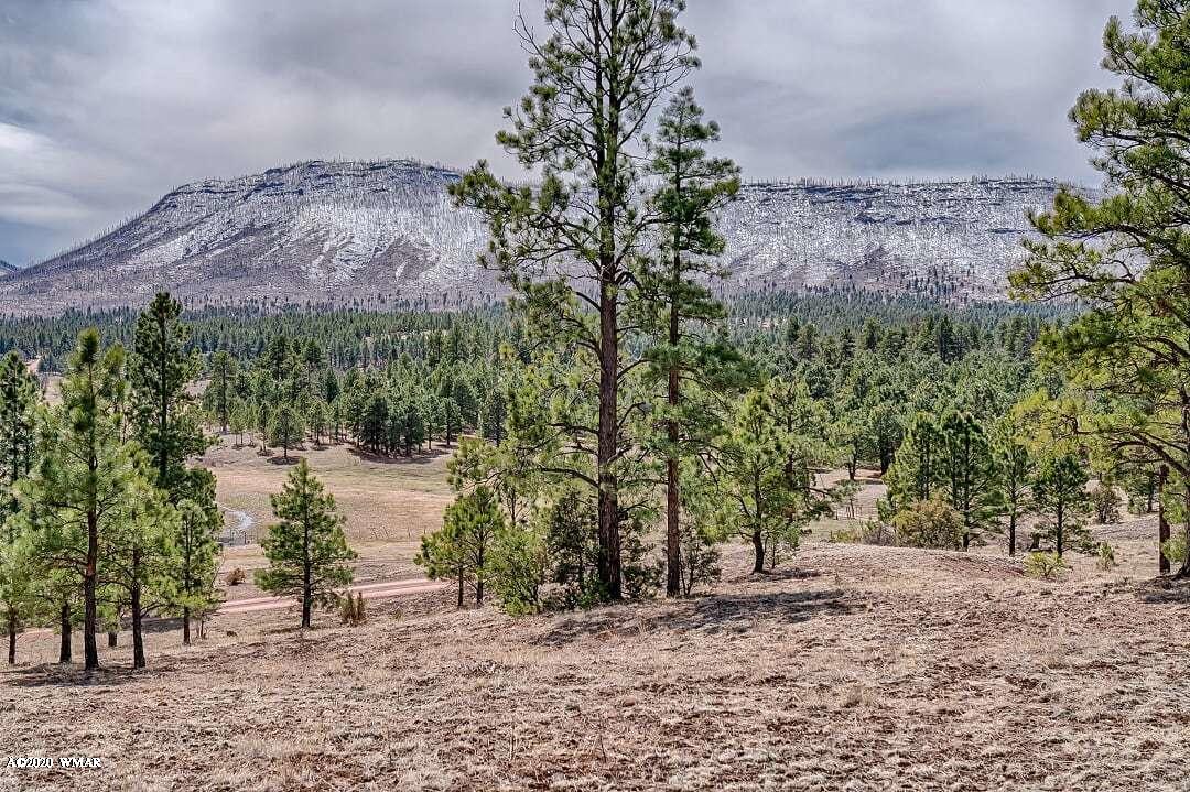 2269 Co Road Nutrioso, AZ 85932 - Photo 12 of 13