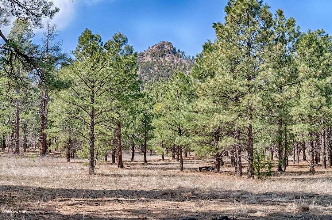 2269 Co Road Nutrioso, AZ 85932 - Photo 13 of 13