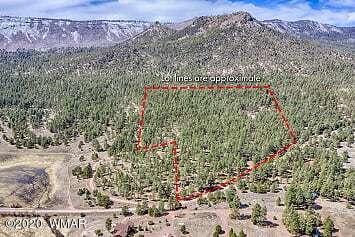 2269 Co Road Nutrioso, AZ 85932 - Photo 3 of 13