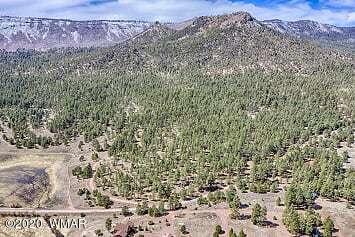 2269 Co Road Nutrioso, AZ 85932 - Photo 4 of 13