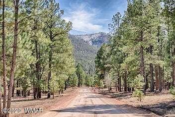2269 Co Road Nutrioso, AZ 85932 - Photo 5 of 13