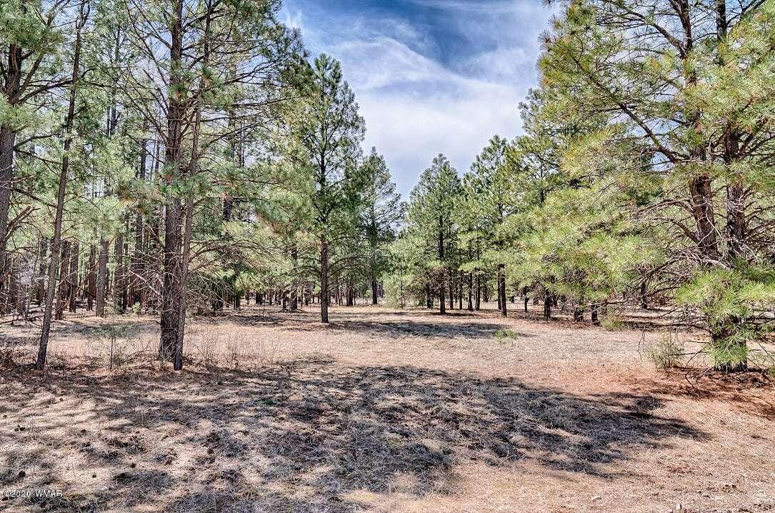 2269 Co Road Nutrioso, AZ 85932 - Photo 6 of 13
