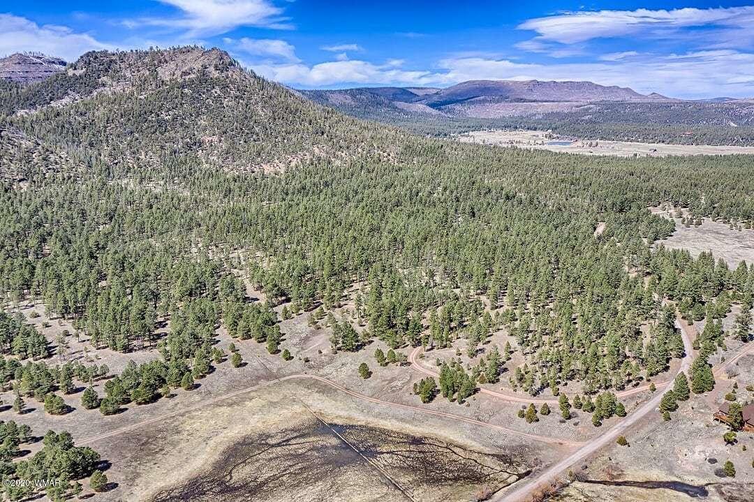 2269 Co Road Nutrioso, AZ 85932 - Photo 8 of 13