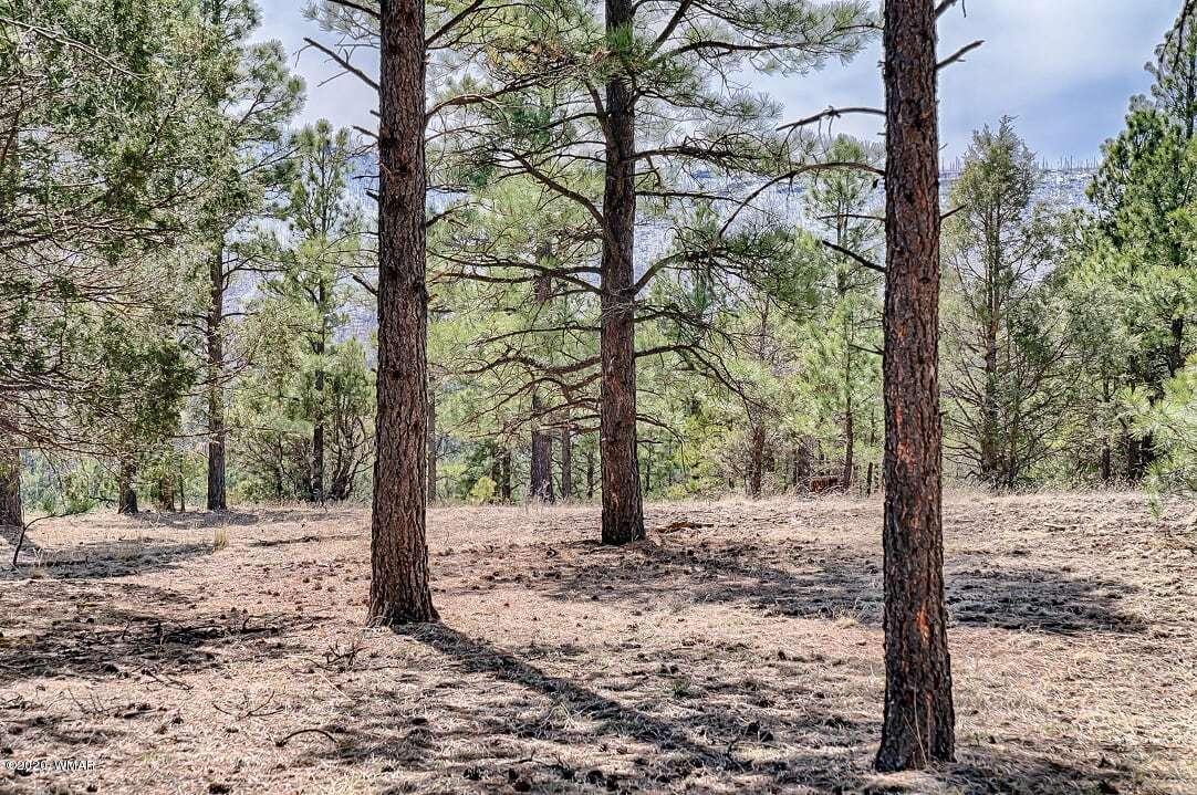 2269 Co Road Nutrioso, AZ 85932 - Photo 9 of 13