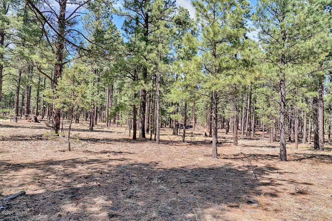 2269 Co Road Nutrioso, AZ 85932 - Photo 10 of 13