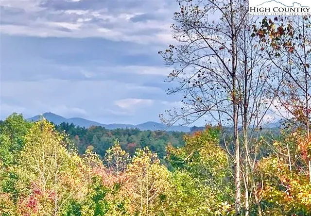 a view of a bunch of trees and buildings