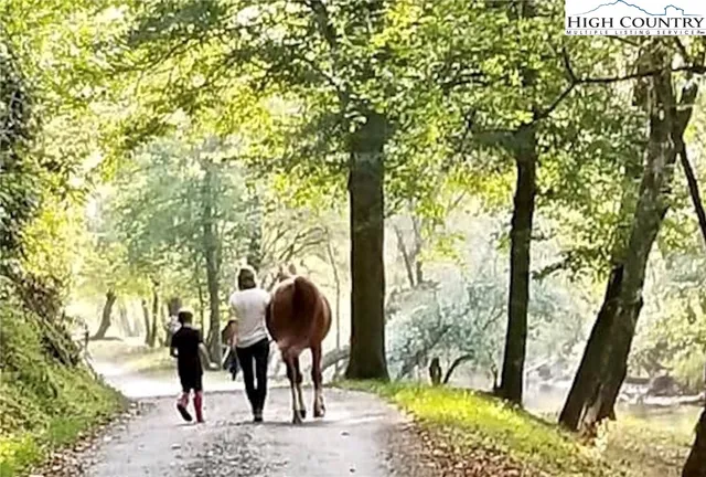 $74,900 | Lot 44 Round Mountain Parkway, Lenoir, NC 28645