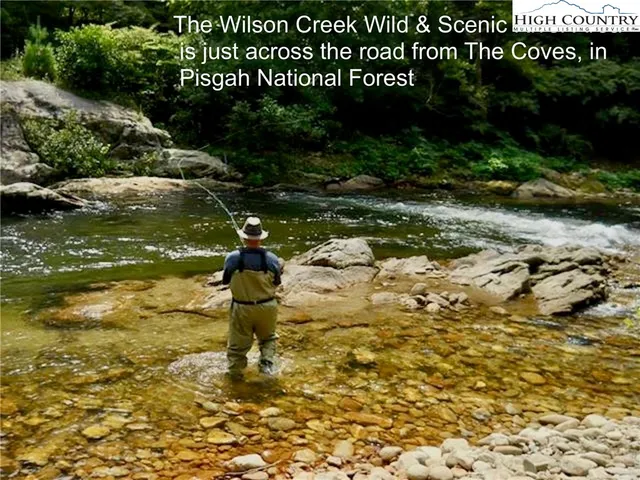 $74,900 | Lot 44 Round Mountain Parkway, Lenoir, NC 28645