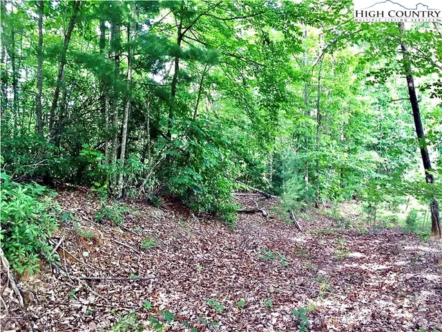 $74,900 | Lot 44 Round Mountain Parkway, Lenoir, NC 28645