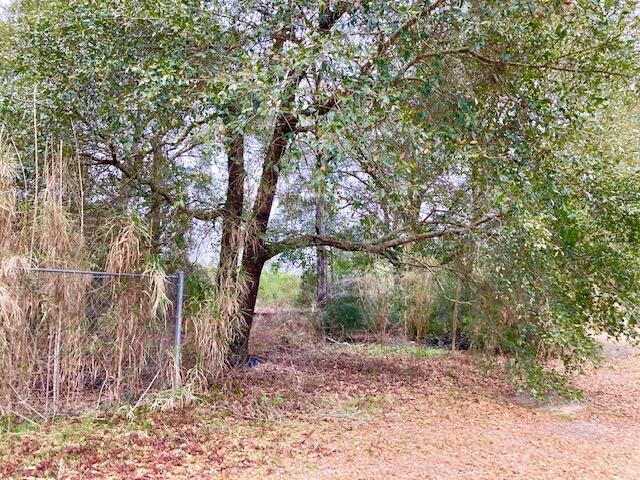90w Defuniak Springs DeFuniak Springs, FL 32433 - Photo 1 of 6 a view of tree trees in a yard